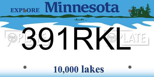 391RKL Minnesota License Plate