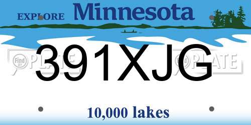 391XJG Minnesota License Plate