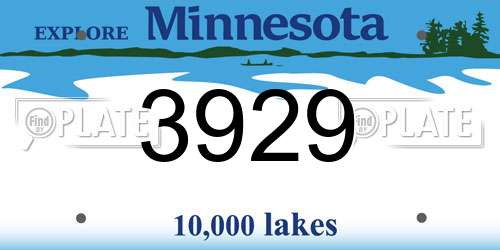 3929 Minnesota License Plate