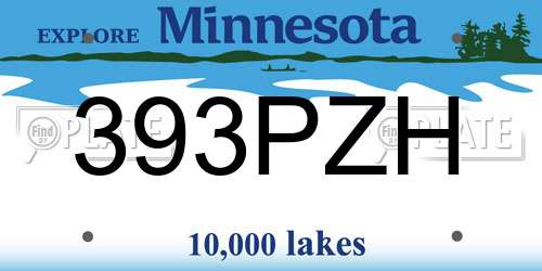 393PZH Minnesota License Plate