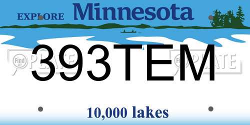 393TEM Minnesota License Plate