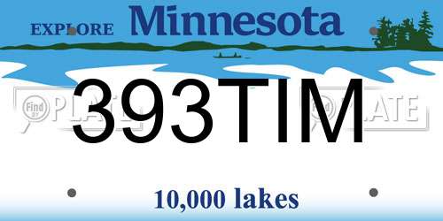 393TIM Minnesota License Plate