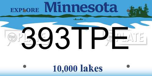 393TPE Minnesota License Plate
