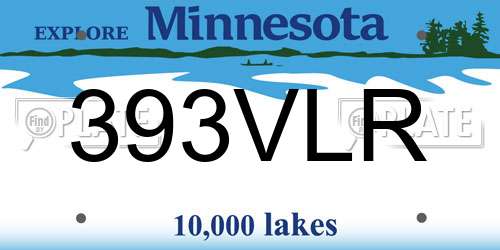 393VLR Minnesota License Plate