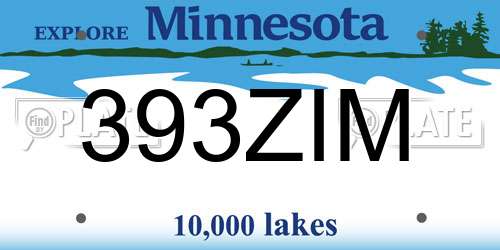 393ZIM Minnesota License Plate