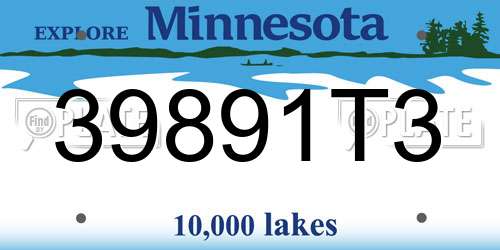 39891T3 Minnesota License Plate