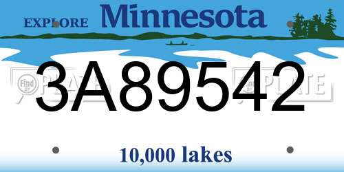 3A89542 Minnesota License Plate