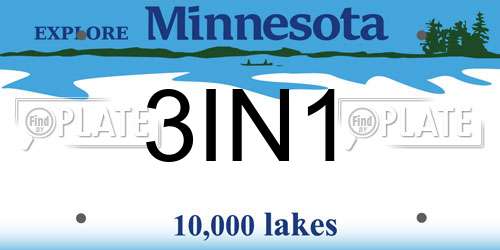 3IN1 Minnesota License Plate