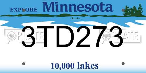 3TD273 Minnesota License Plate