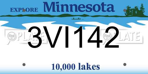 3VI142 Minnesota License Plate