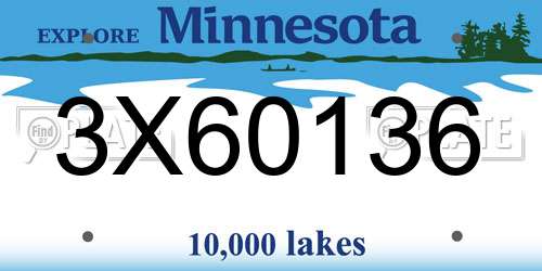 3X60136 Minnesota License Plate