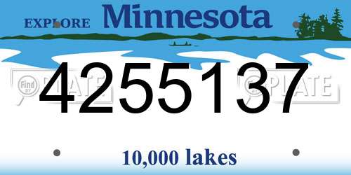 4255137 Minnesota License Plate