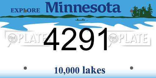 4291 Minnesota License Plate