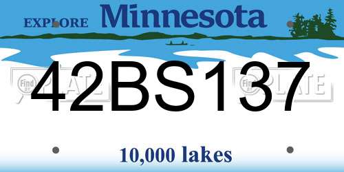 42BS137 Minnesota License Plate