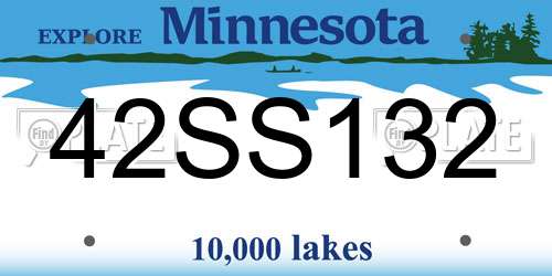 42SS132 Minnesota License Plate