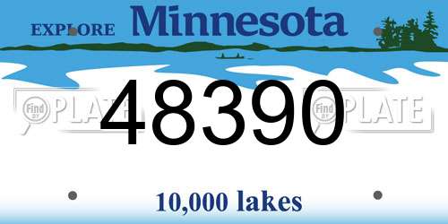 48390 Minnesota License Plate