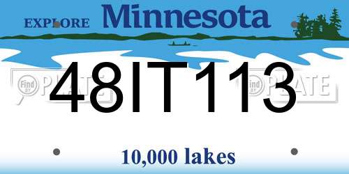 48IT113 Minnesota License Plate