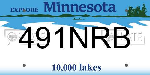 491NRB Minnesota License Plate