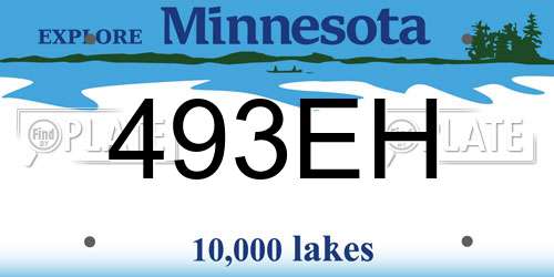 493EH Minnesota License Plate