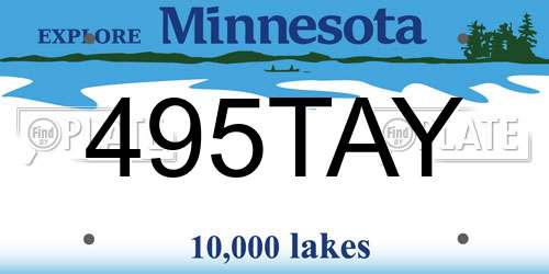 495TAY Minnesota License Plate