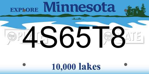 4S65T8 Minnesota License Plate