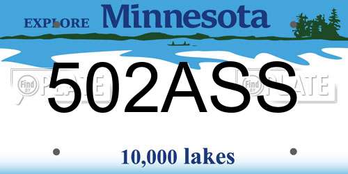 502ASS Minnesota License Plate