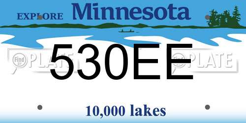 530EE Minnesota License Plate