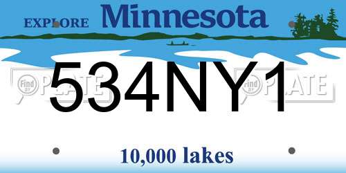534NY1 Minnesota License Plate