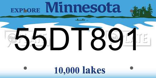 55DT891 Minnesota License Plate