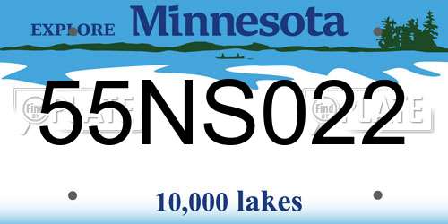 55NS022 Minnesota License Plate