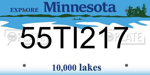 55TI217 Minnesota License Plate