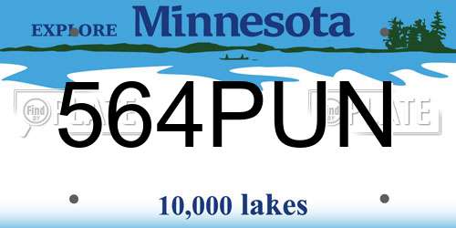 564PUN Minnesota License Plate