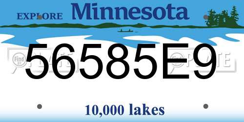 56585E9 Minnesota License Plate