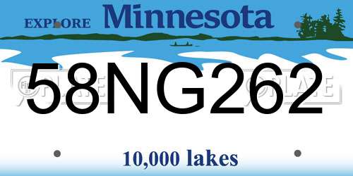 58NG262 Minnesota License Plate