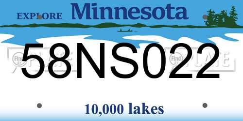 58NS022 Minnesota License Plate