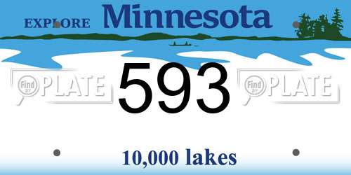 593 Minnesota License Plate