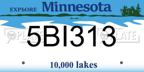 5BI313 Minnesota License Plate