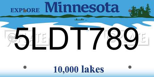 5LDT789 Minnesota License Plate