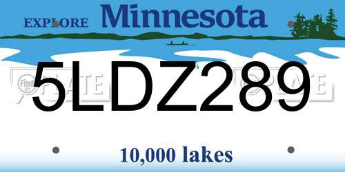 5LDZ289 Minnesota License Plate