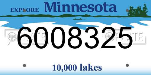 6008325 Minnesota License Plate