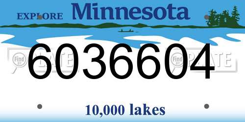 6036604 Minnesota License Plate