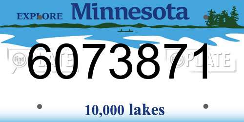 6073871 Minnesota License Plate