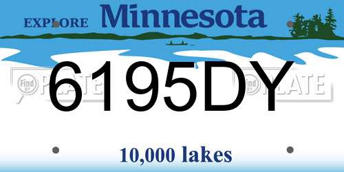6195DY Minnesota License Plate