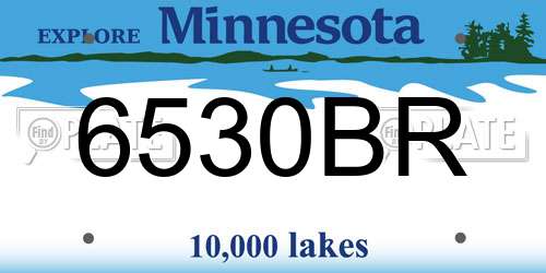 6530BR Minnesota License Plate