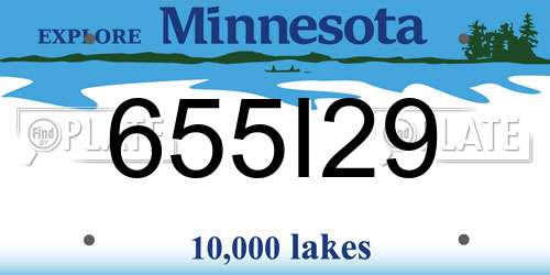 655I29 Minnesota License Plate