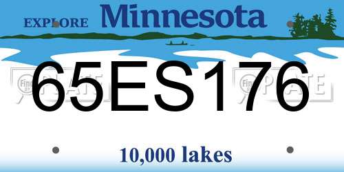 65ES176 Minnesota License Plate
