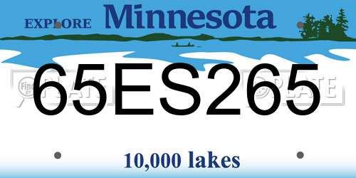 65ES265 Minnesota License Plate