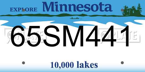65SM441 Minnesota License Plate