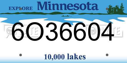6O36604 Minnesota License Plate