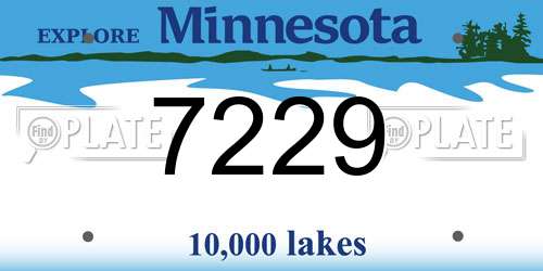7229 Minnesota License Plate